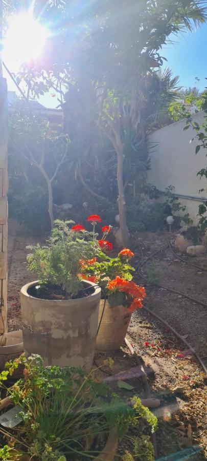 3 חדרים קרקע באפרסק Apartment Eilat